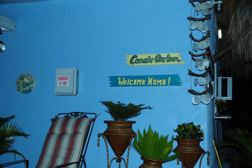 Conch On Inn Motel Tavernier Exteriér fotografie